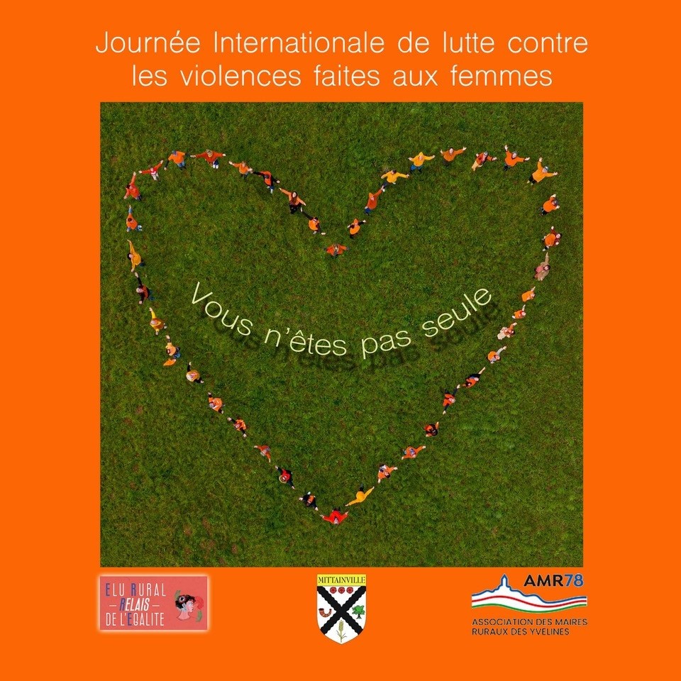 Journée internationale de lutte contre les violences faites  ... Image 1
